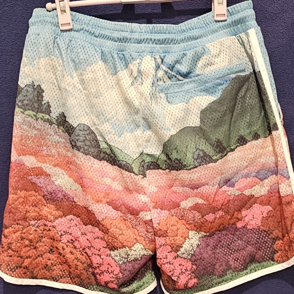 Kith Printed Jordan Mesh ShortBloom Size M - Picture 2 of 7